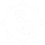 Automatyzacja sprzedaży online - integracje Baselinker i systemy API